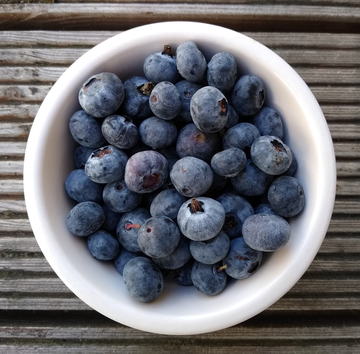 A pile of fresh blueberries, one of the flavors of Bear Balanced creatine gummies