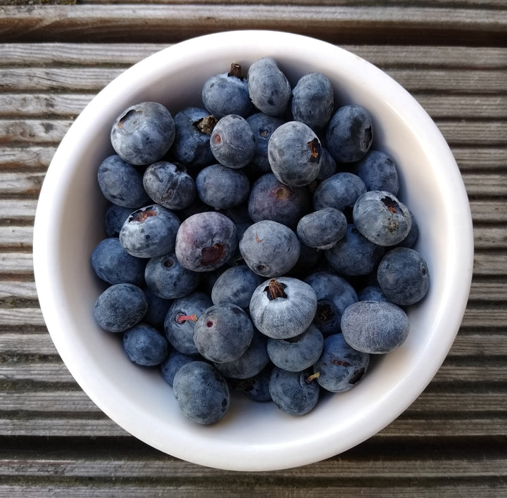 Bear Balanced creatine gummies review: what's in them and do they work?