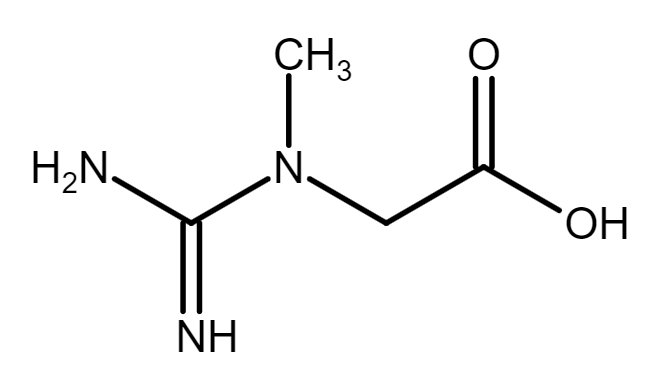 Chemical structure diagram of the creatine molecule, a small amino acid compound unlike a steroid