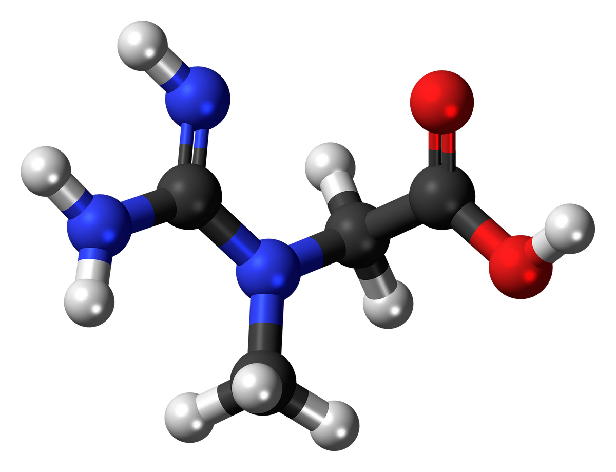Ball-and-stick model of the creatine molecule, the one ingredient to look for on a label