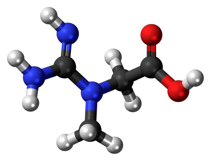 Best creatine for women on GLP-1 medications: a buyer's checklist