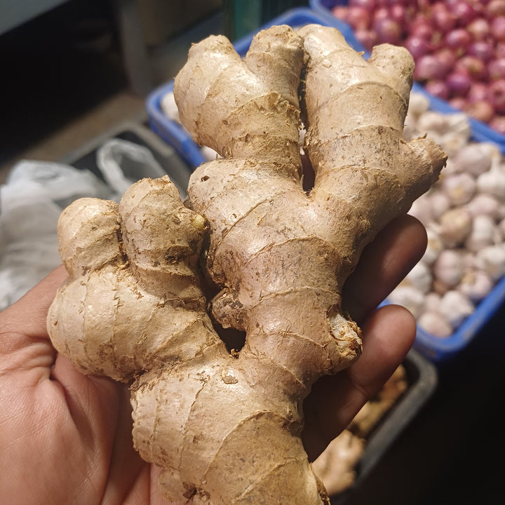 Do debloat supplements work? Arrae, Lemme, Love Wellness, and Happy V reviewed