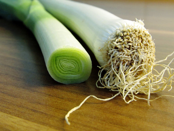 Prebiotic fiber and your immune system: the gut connection explained