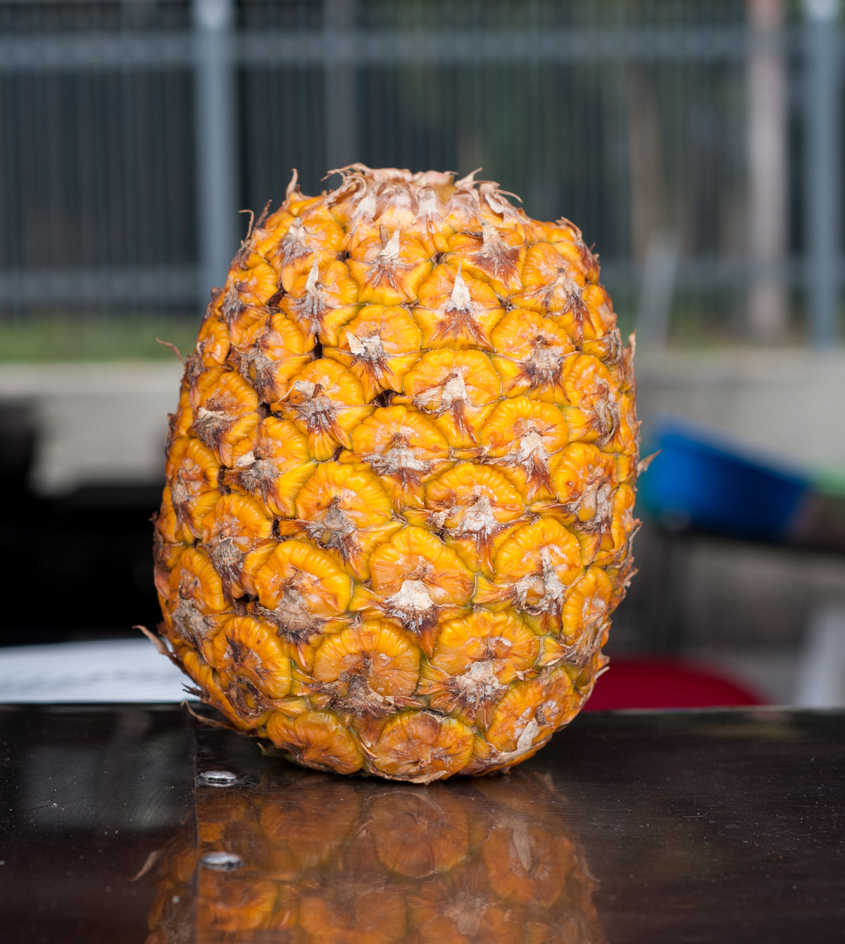 A whole pineapple, one of the fruits that naturally contains a digestive enzyme