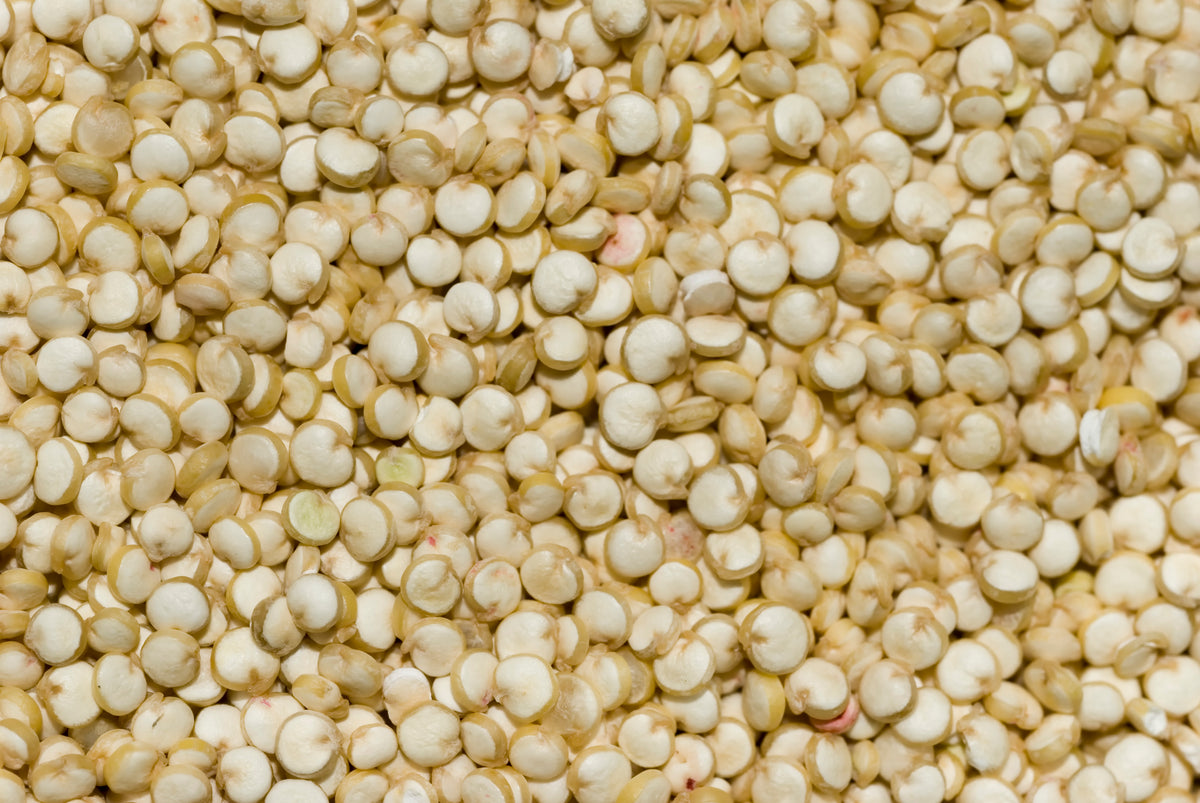 A close-up of cooked quinoa grains