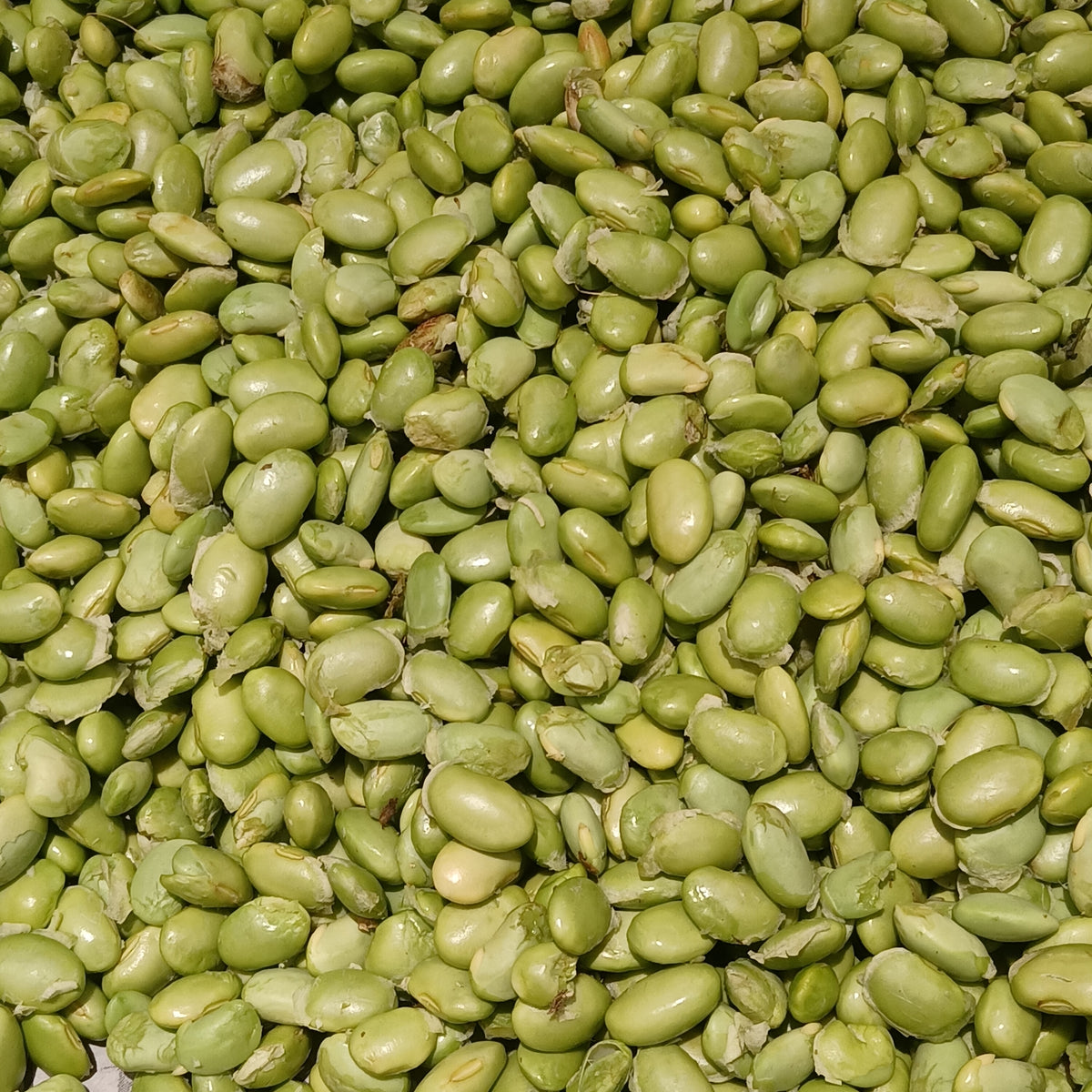 A pile of shelled green soybeans, a plant source of fiber with no lactose