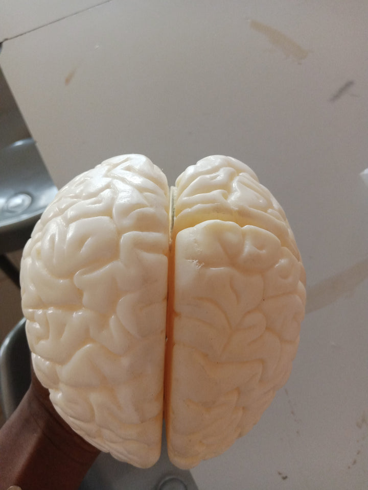 Can creatine gummies support brain health? Evidence vs label claims