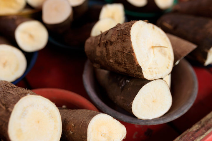 What Is Resistant Tapioca Starch? The Prebiotic Fiber Behind Better Regularity