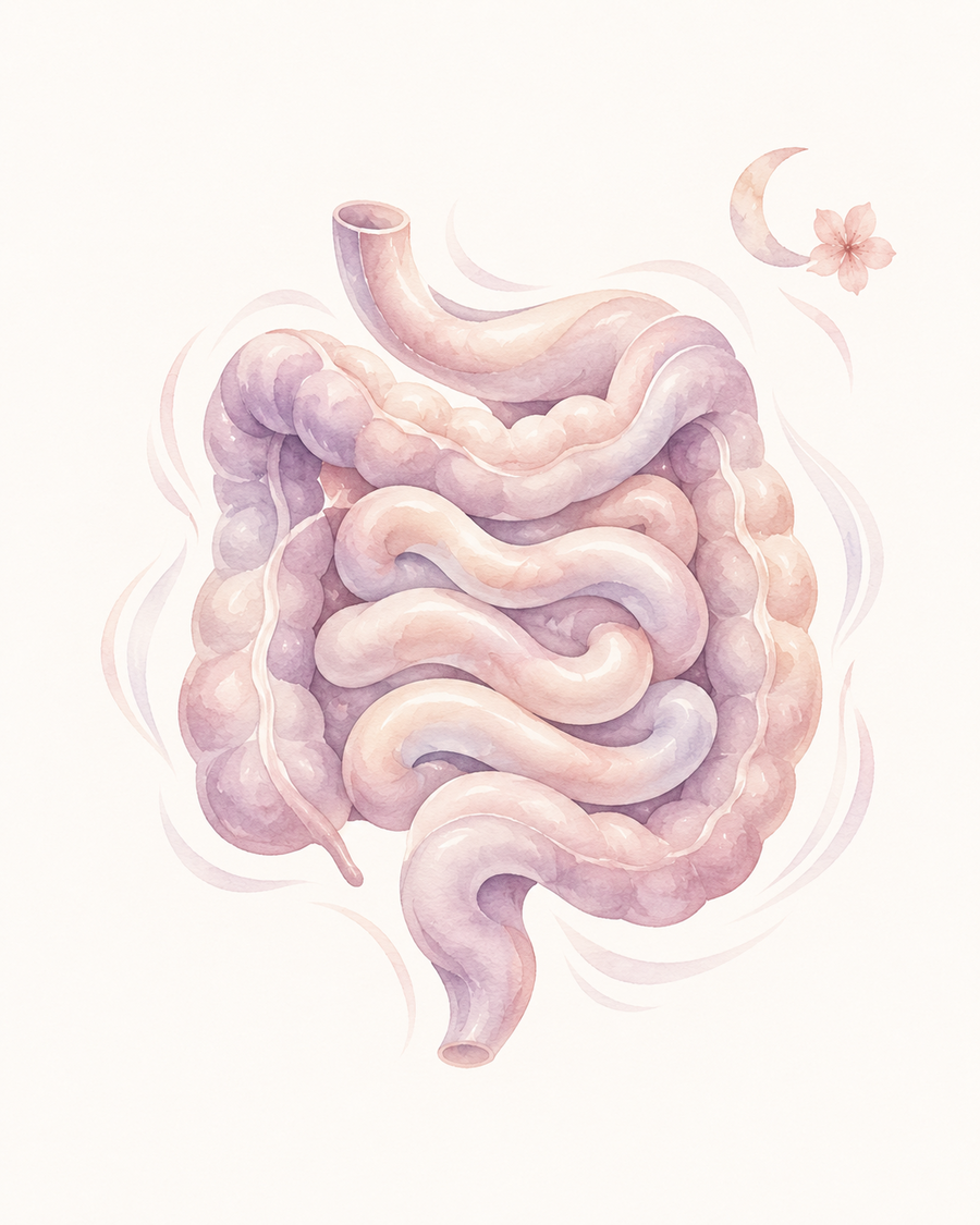 Gut Movement